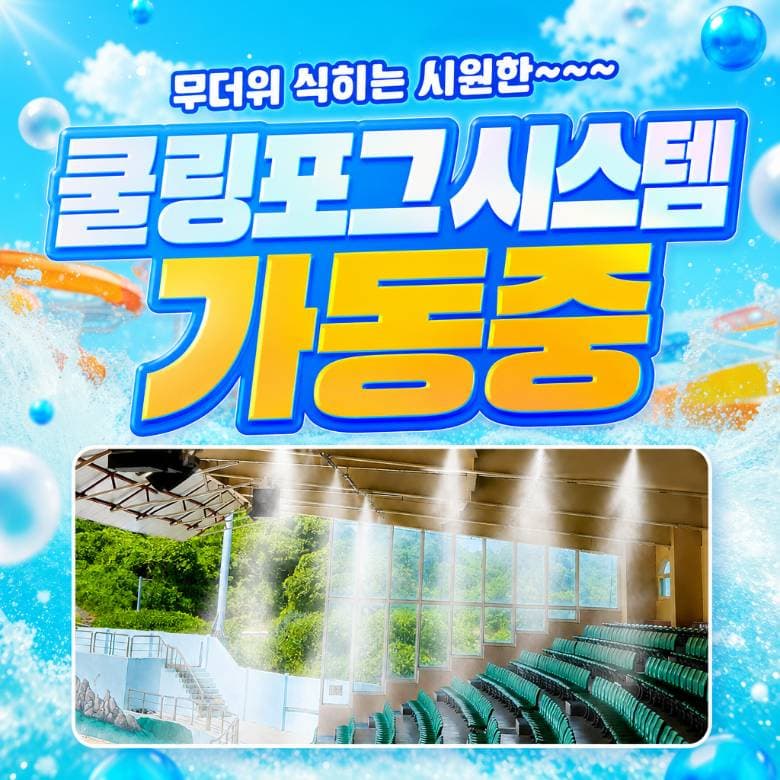 더마파크 공연 입장권 및 체험권 이용 안내 4