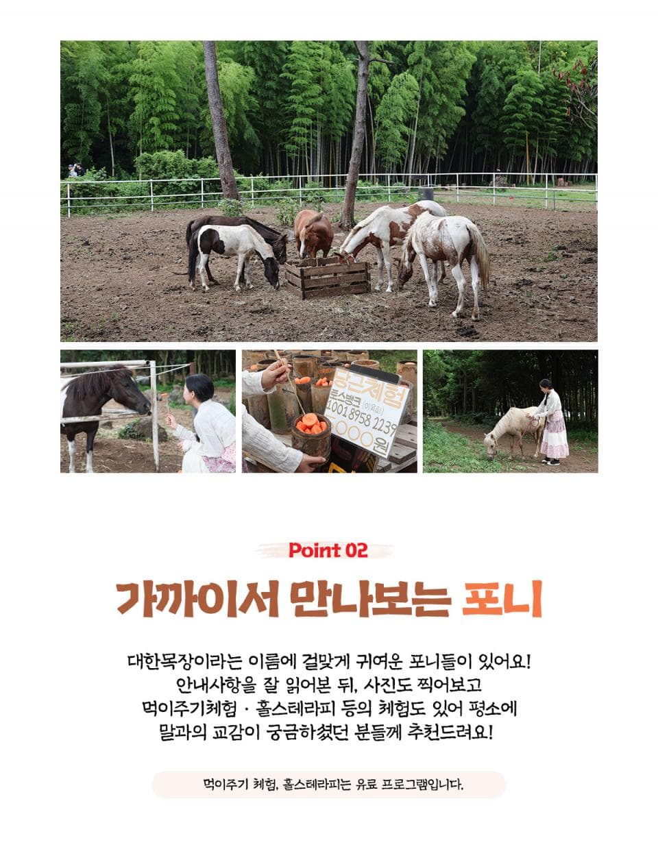대한목장 아메리카노 2잔+쿠키 2개 (~12/31) 이용 안내 5